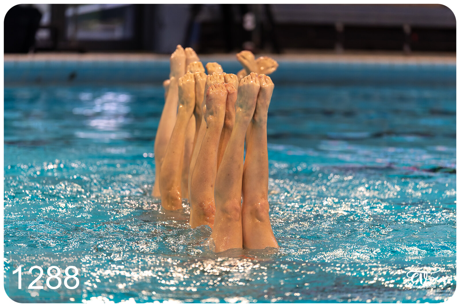 CHAMPIONNAT DE FRANCE DE NATATiON ARTISTIQUE N1 & ELITE 2026
